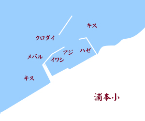 浦本湾釣りスポット