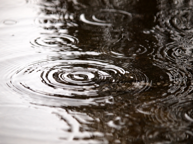 梅雨の季節