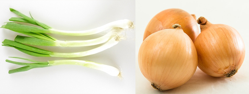 野菜