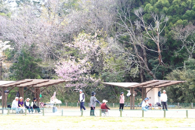 床を新たに設置しました