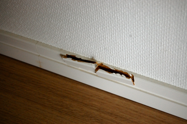 幅木が痛んだようす