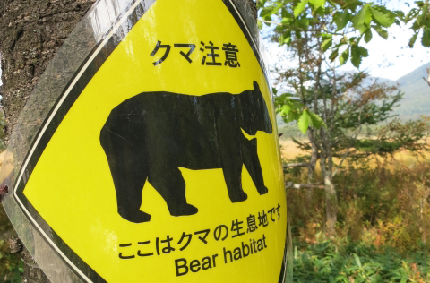 長野市にも野生動物が多くみられますtop