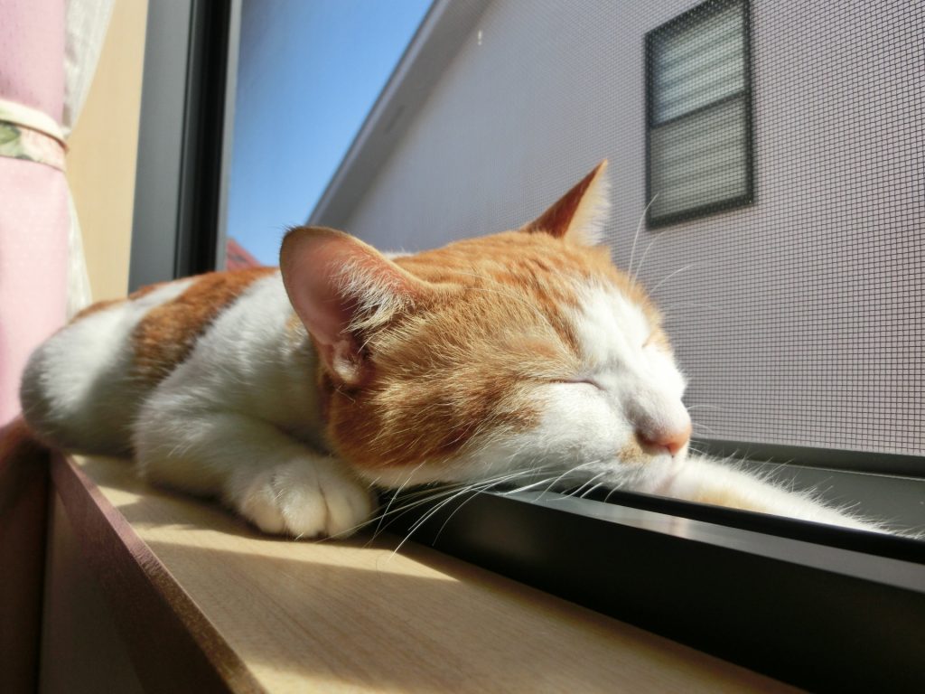 ペット用網戸