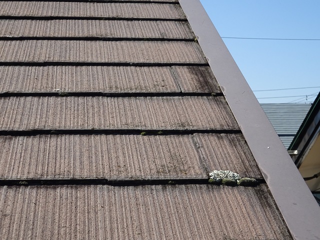 長野市下駒沢　施工前屋根の苔