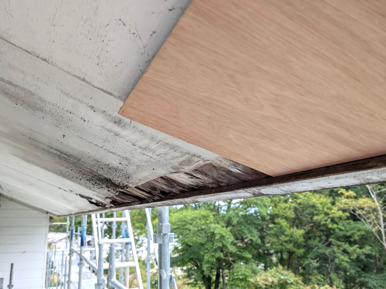 軒天　下地補強