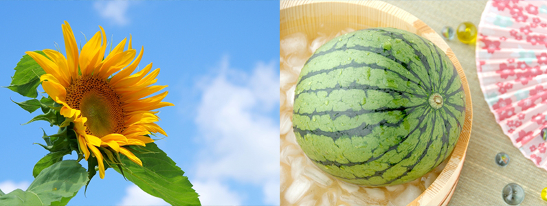 夏を楽しむ準備始めませんか2?